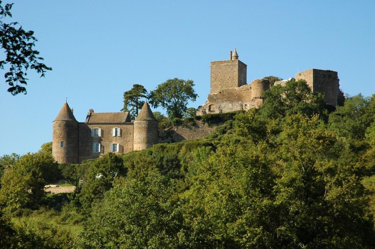 La Chambre Des Buissonnats Martailly-les-Brancion Exterior photo